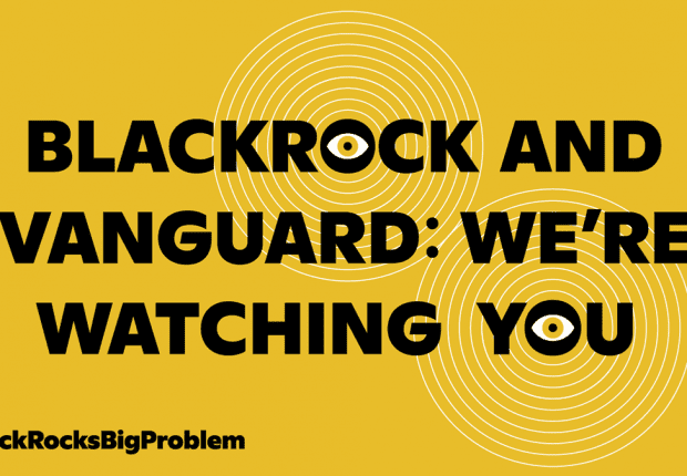 BlackRock and Vanguard: We're watching you