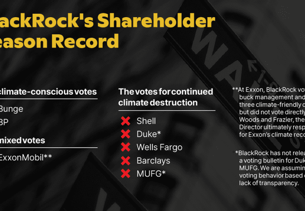 BlackRock's Shareholder Record graphic