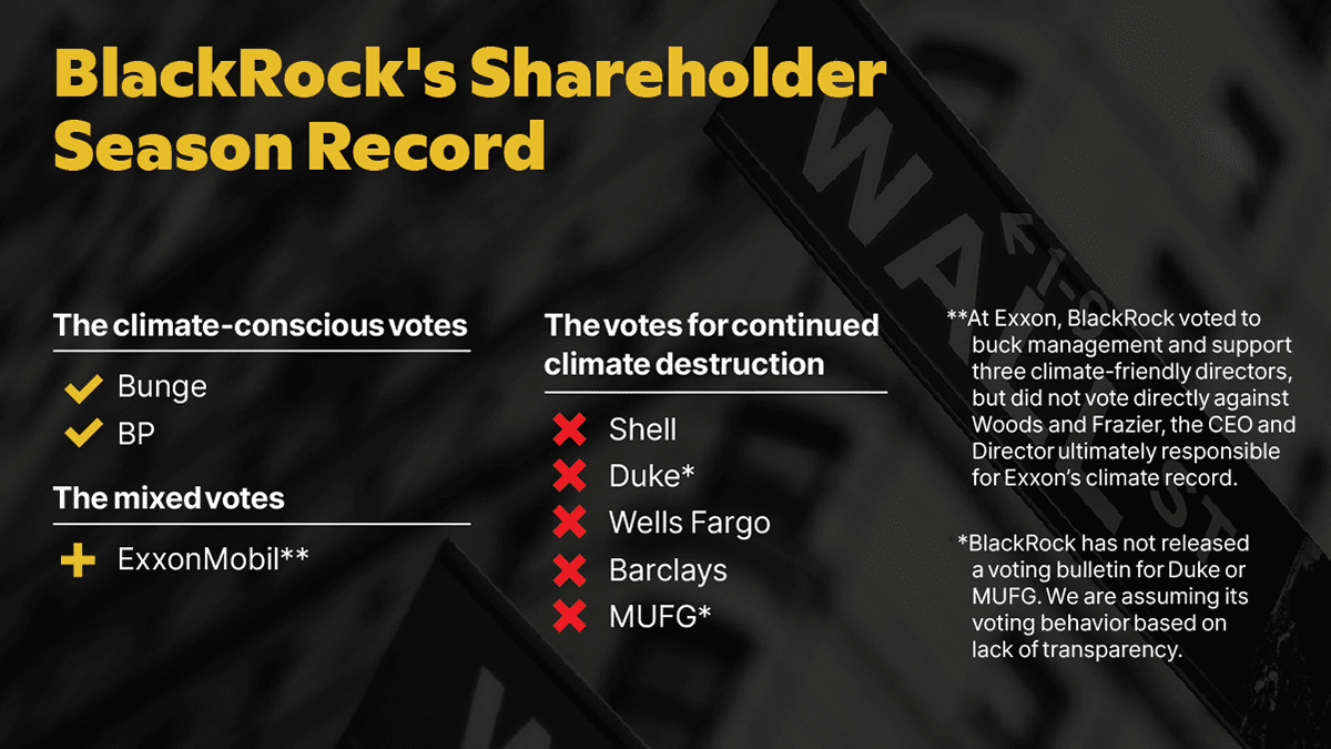 BlackRock's Shareholder Record graphic