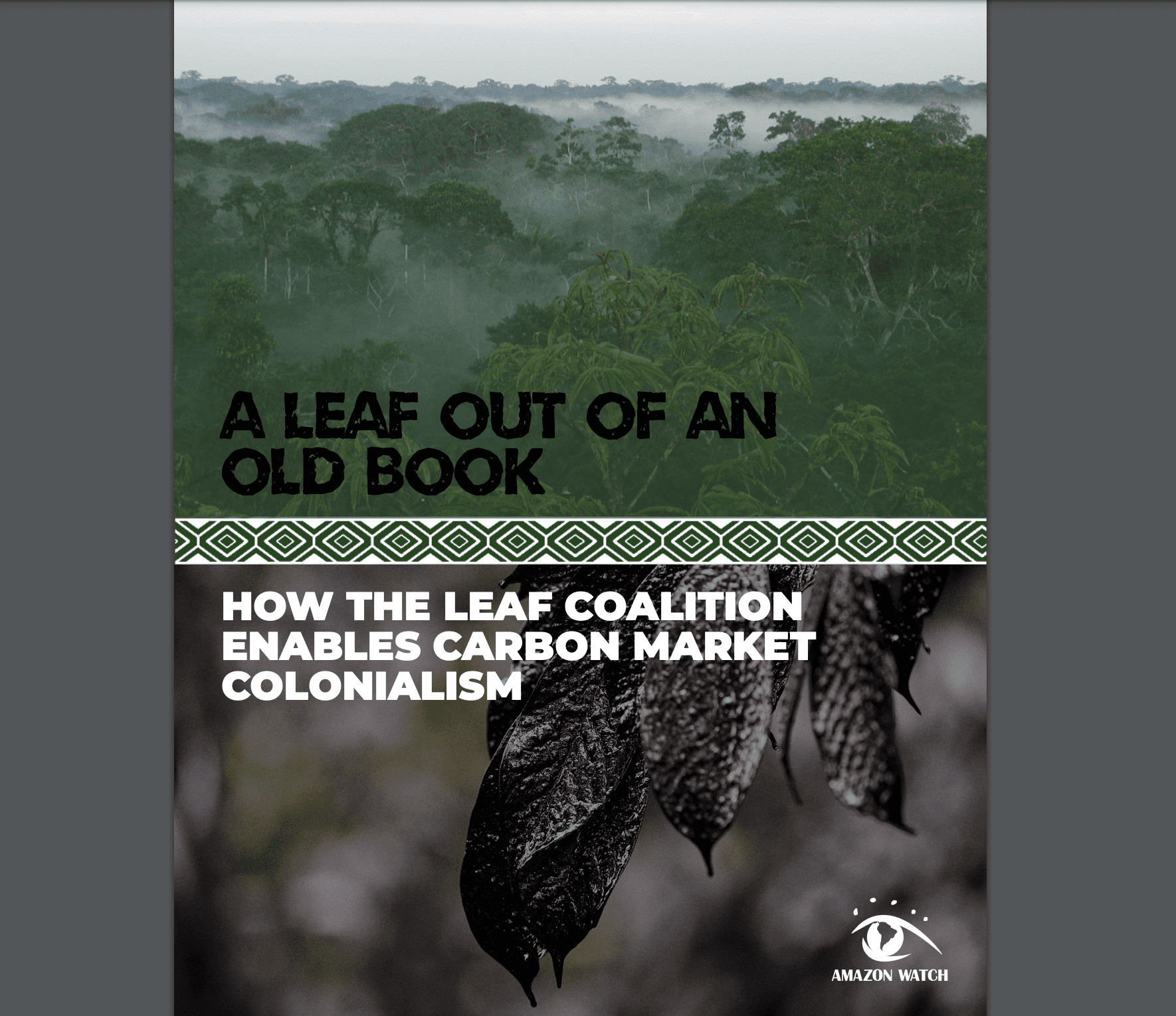 Two images separated by a green-patterned border. The top image is of the verdant treetops of a forest, the second is a close-up photo of oil-dipped leaves. The text reads A leaf out of an old book, how the LEAF coalition enables carbon market colonialism.